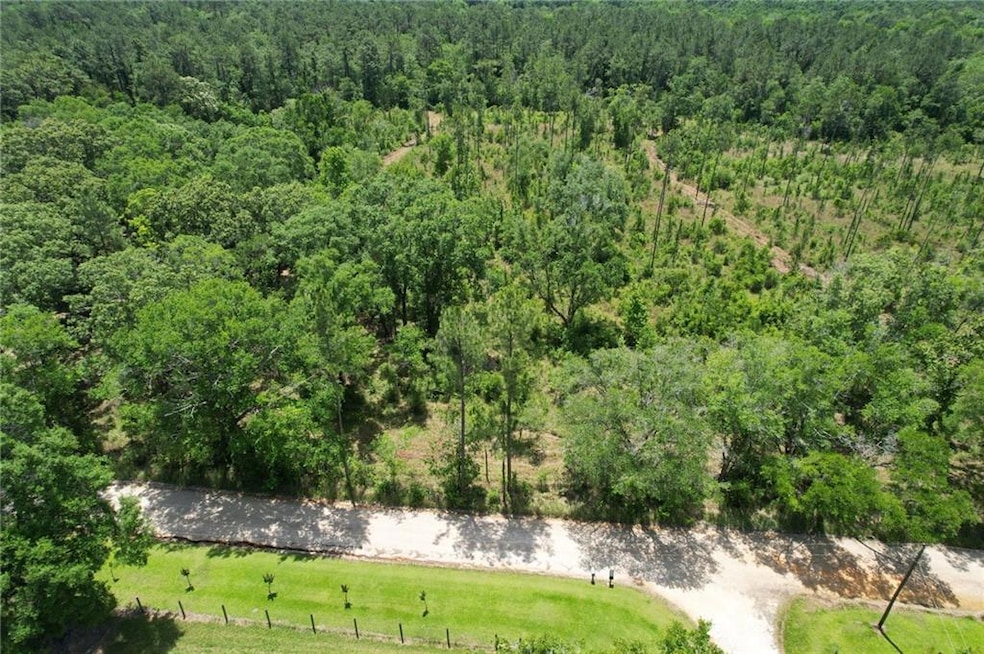 Drone / aerial view of a forest