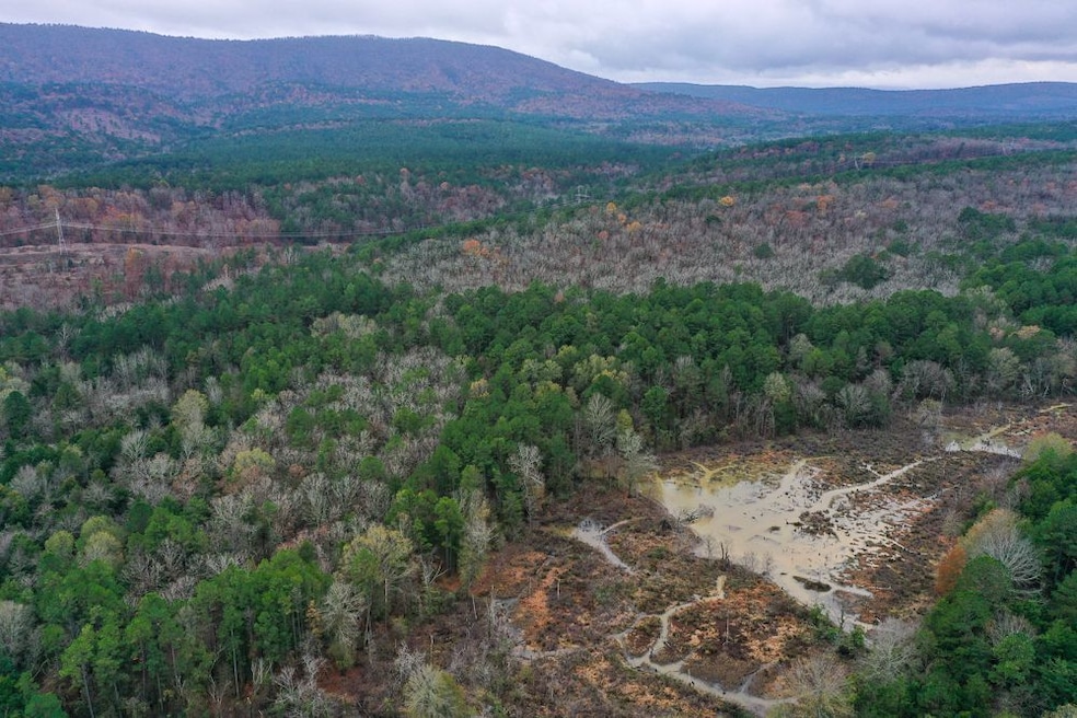 0000 County Line Rd, Booneville, AR 72927 - photo 1