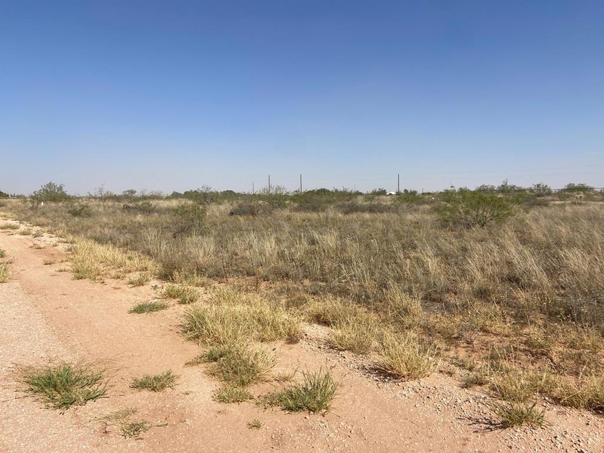Lot 5E W County Road 149 unit Lot 5, Midland, TX 79706 - photo 1