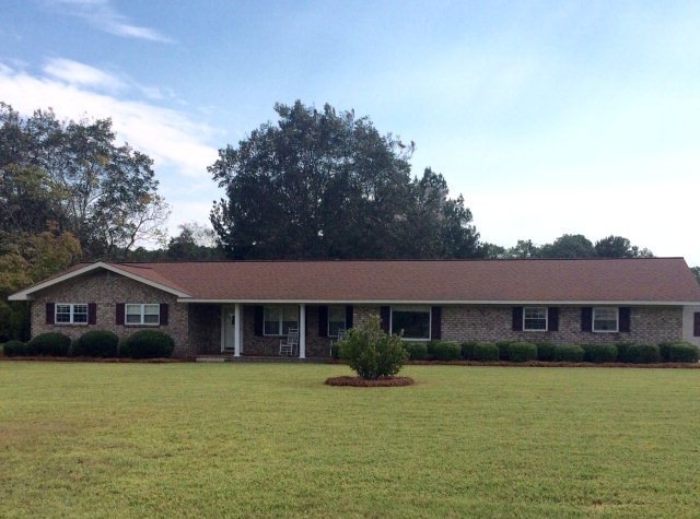 Main View