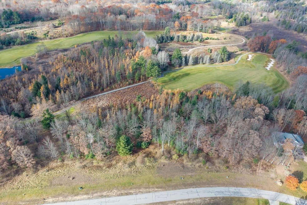 6240 Dublin Dr, Canadian Lakes, MI 49346 - photo 1