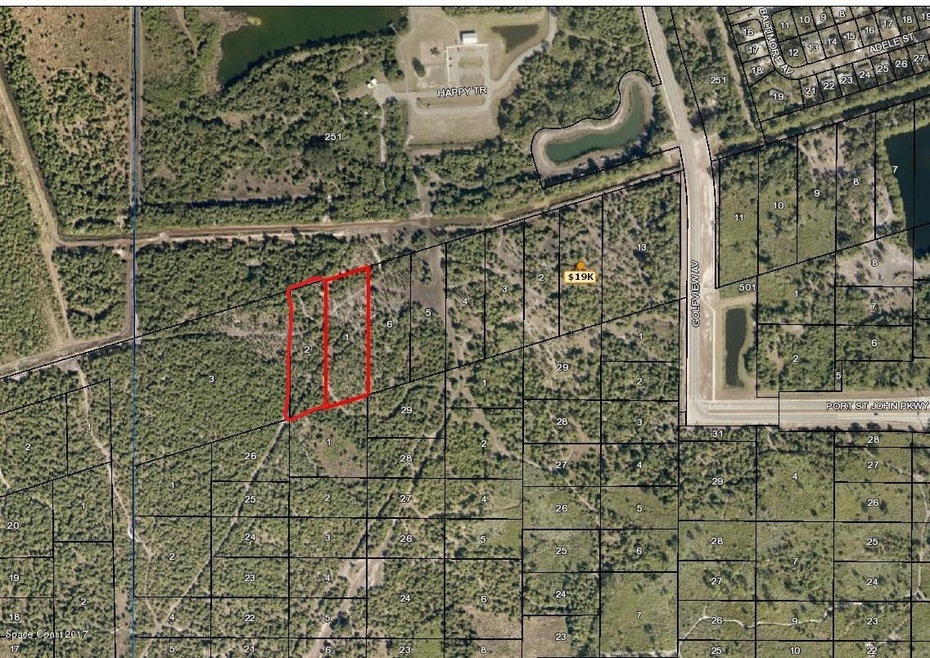 zoomed out_LI