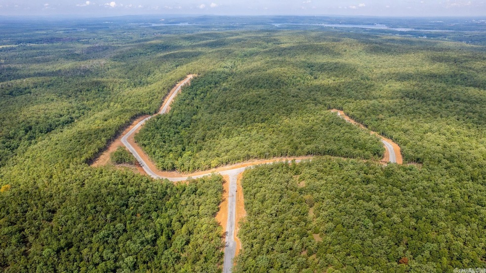 Sold $60,000 • Co-Listing Agent