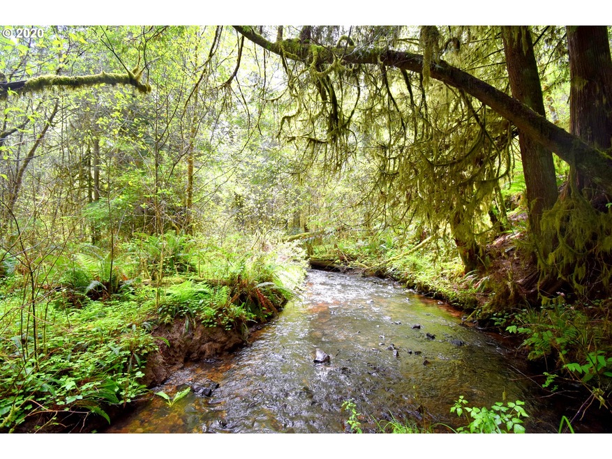 0 Slide Creek Rd unit 20124249, Longview, WA 98632 - photo 1