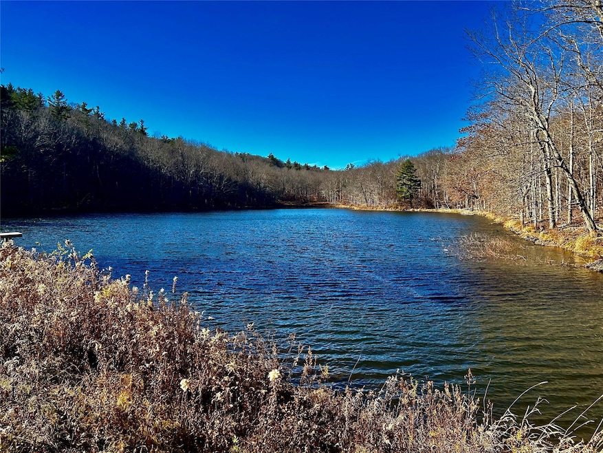 Pond