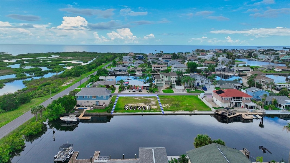 4104 Camelia Dr, Hernando Beach, FL 34607 - photo 1