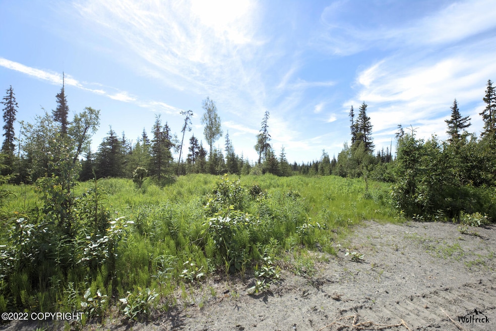 D19 Alaskan Wildwood Ranch, Anchor Point, AK 99556 - photo 1