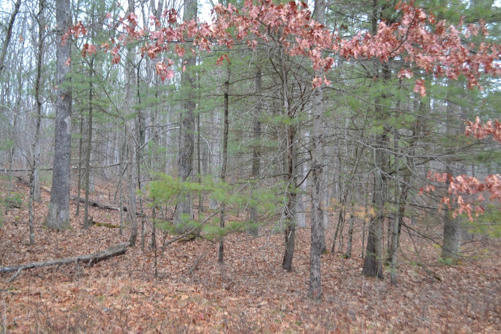 lot 533 Timber Ridge Dr, Lackawaxen Township, PA 18428 - photo 1