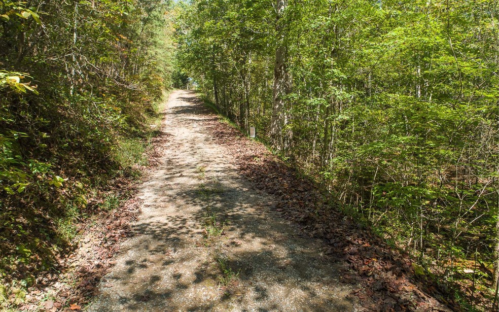 0 N Pine Rd unit 312420, Ellijay, GA 30536 - photo 1