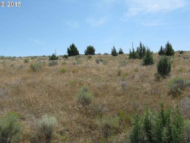 0 Antelope Ln unit 15331331, John Day, OR 97845 - photo 1