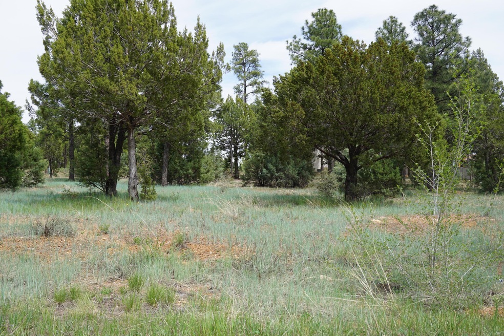 781 Bushman, Show Low, AZ 85901 - photo 1