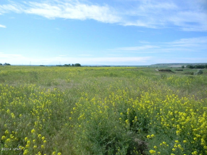 Primary Photo