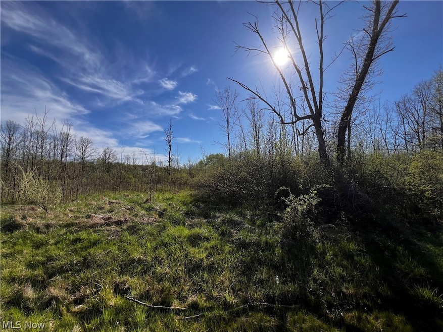 683 Rome Rock Creek Rd, Roaming Shores, OH 44084 - photo 1