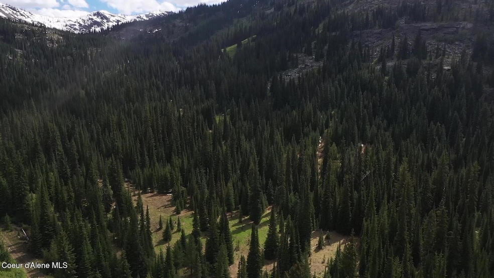 Video Pic 6