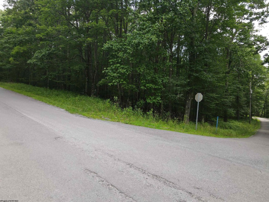 Lot 138 Day Lily Cir  