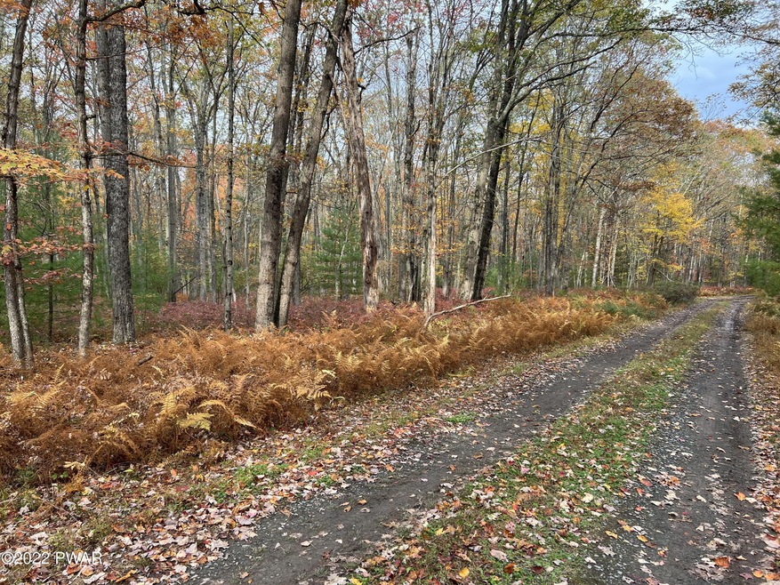 Lot 8 Whispering Oaks Rd, Lackawaxen Township, PA 18425 - photo 1