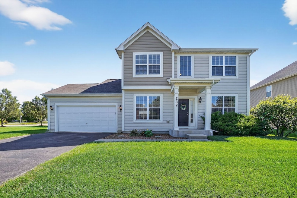 232 Julep Ave, Oswego, IL 60543 - photo 1