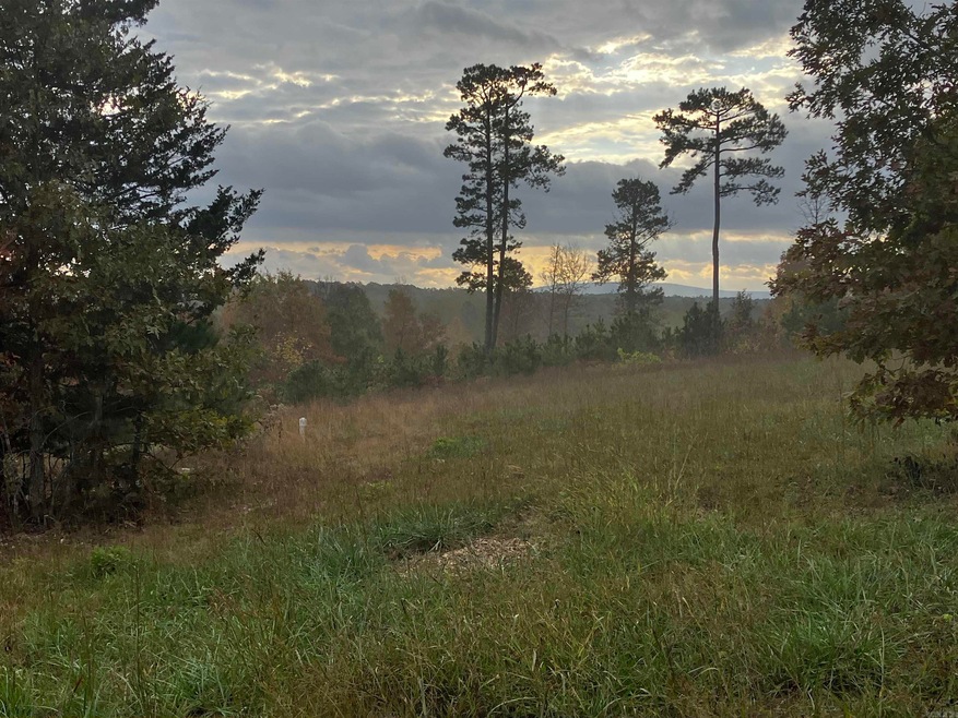 1300 Qmc Rd, Mountain View, AR 72560 - photo 1