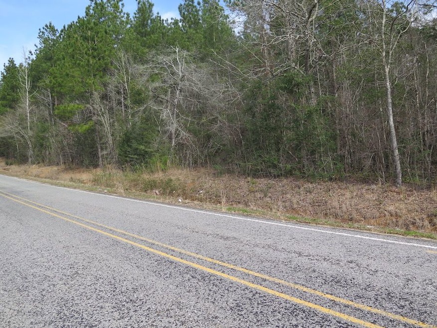 0 Gilmer Rd unit LotWP001, Taylorsville, MS 39168 - photo 1