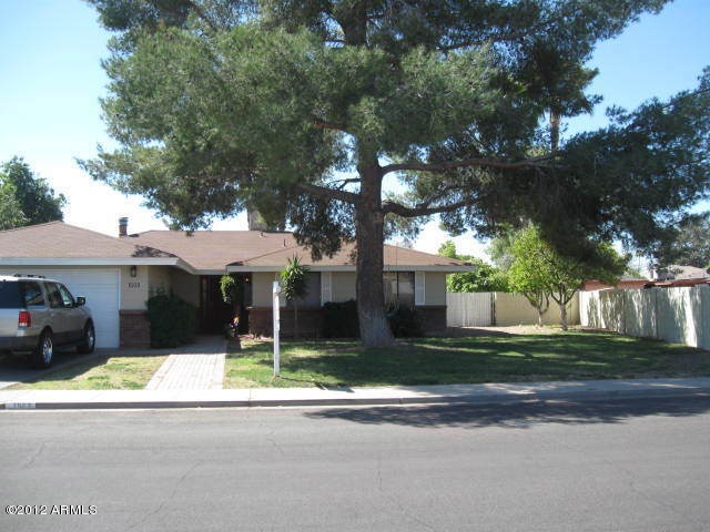 Front yard with huge tree