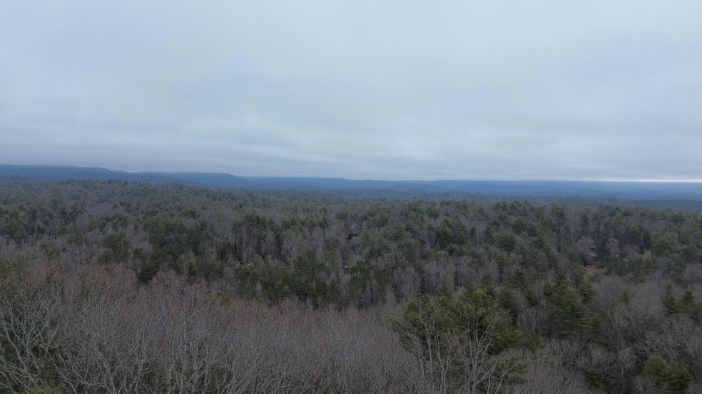 Gilmer Tract 1