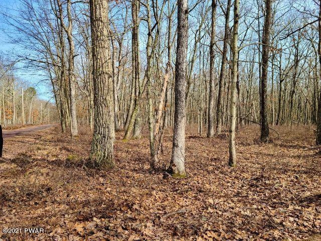 108 Mountain Top Rd, Lackawaxen Township, PA 18435 - photo 1