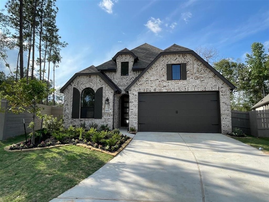 15703 Autumn Sun Ct, Woodloch, TX 77302 - photo 1