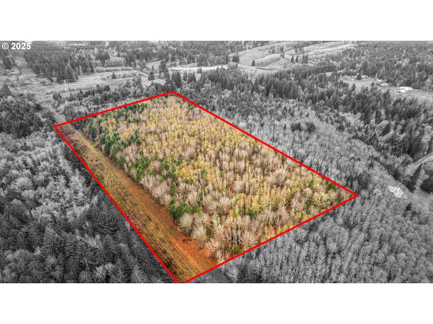 0 Old Rainier Rd unit 778029075, Rainier, OR 97048 - photo 1