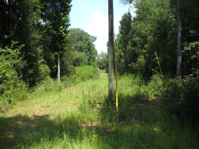 1002 Turner Rd, McComb, MS 39648 - photo 1