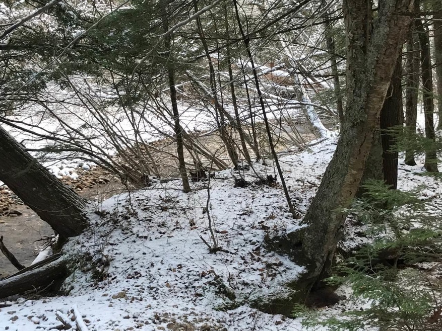 11 Conner Pond Rd, Center Ossipee, NH 03814 - photo 1