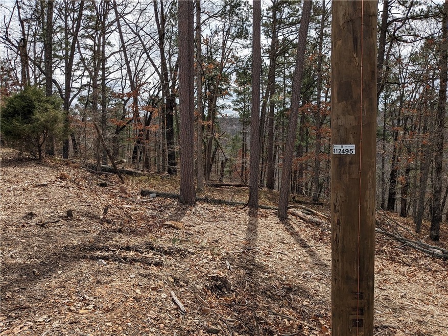 Lot 28 Reading Ln, Bella Vista, AR 72714 - photo 1