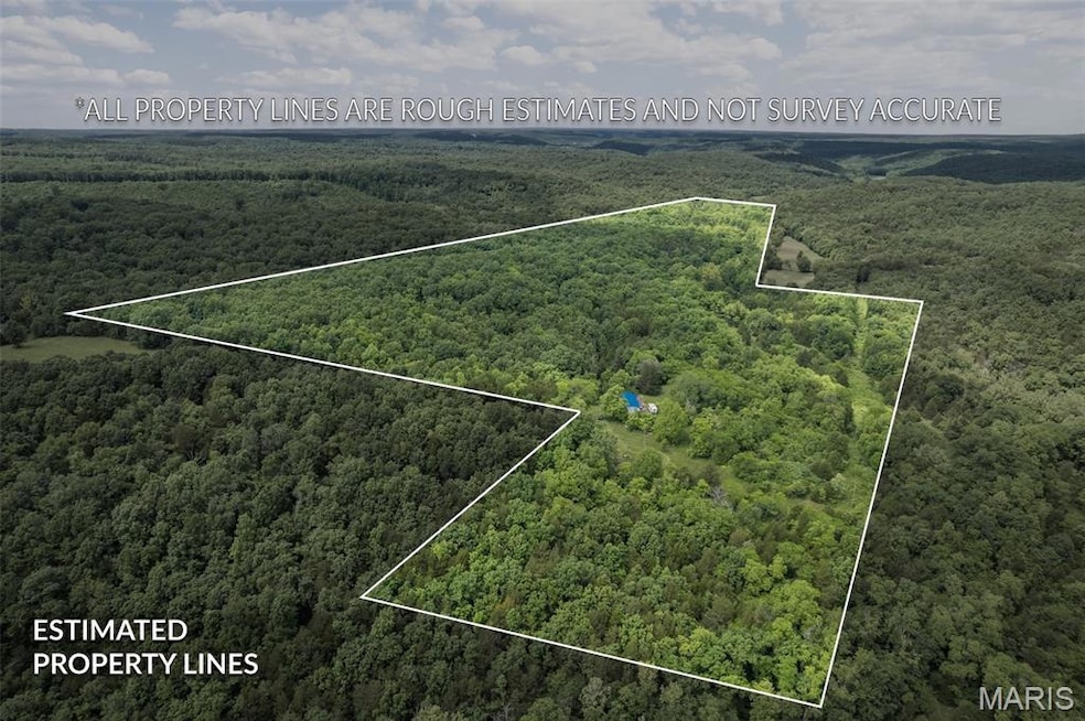 23201 Private Drive 6474, Duke, MO 65461 - photo 1