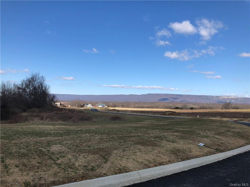 113 Mulford Dr, Wallkill, NY 12589 - photo 1