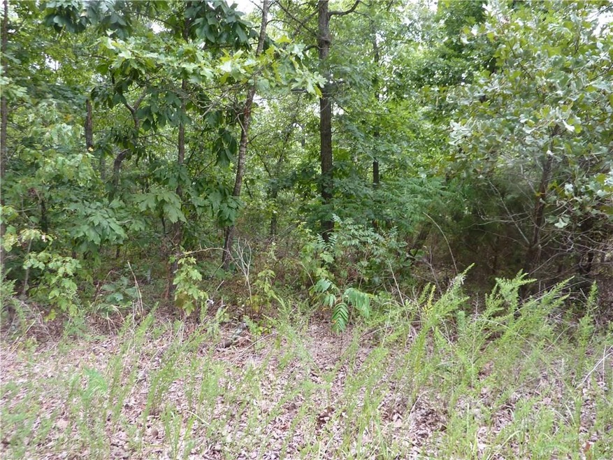 0 Dilly Cir unit 1087772, Bella Vista, AR 72715 - photo 1