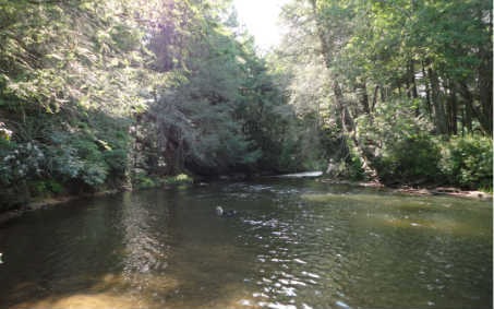 Main View