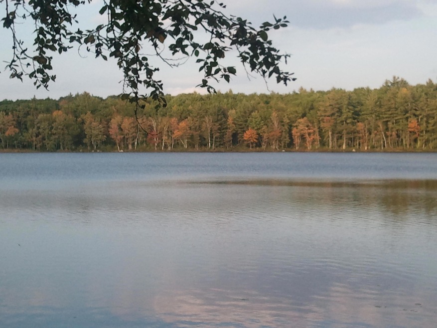Northeast shore foliage
