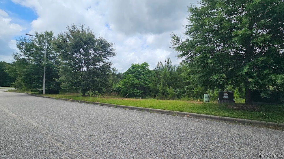 Lot 4 U S 231, Ozark, AL 36360 - photo 1