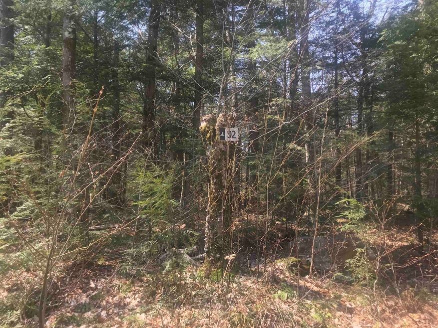 91 Spring Ct unit M91 & M92, Wilmington, VT 05363 - photo 1