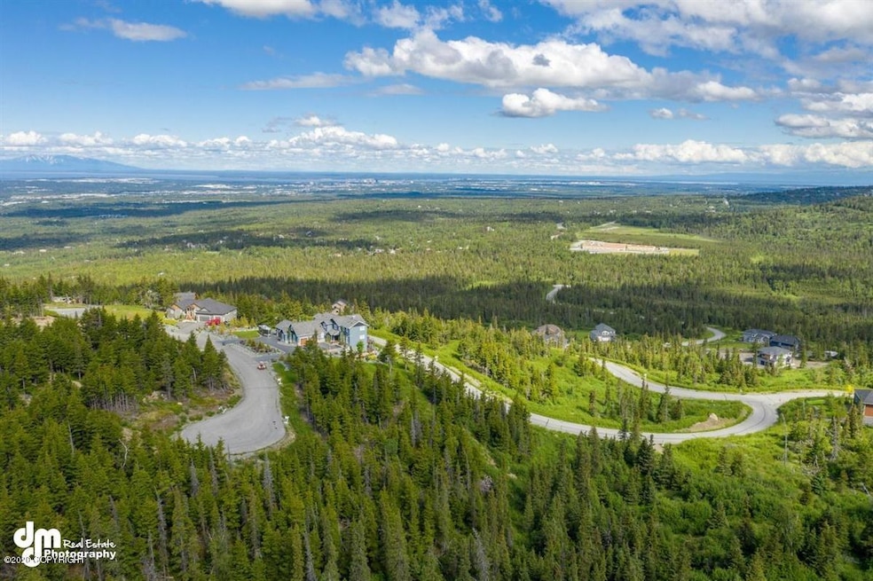 4-Aerials MS_0584