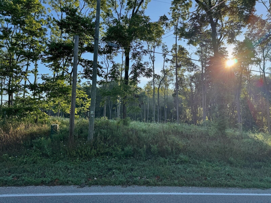 Tract 4 Dailey Rd, Edwardsburg, MI 49112 - photo 1