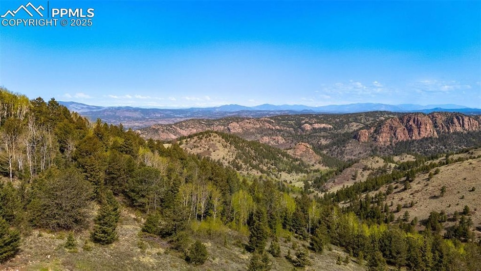 0 Conley Ranch Rd, Cripple Creek, CO 80813 - photo 1