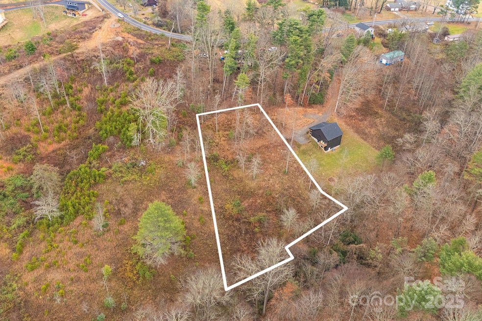 9999 Gizmo Trail, Leicester, NC 28748 - photo 1