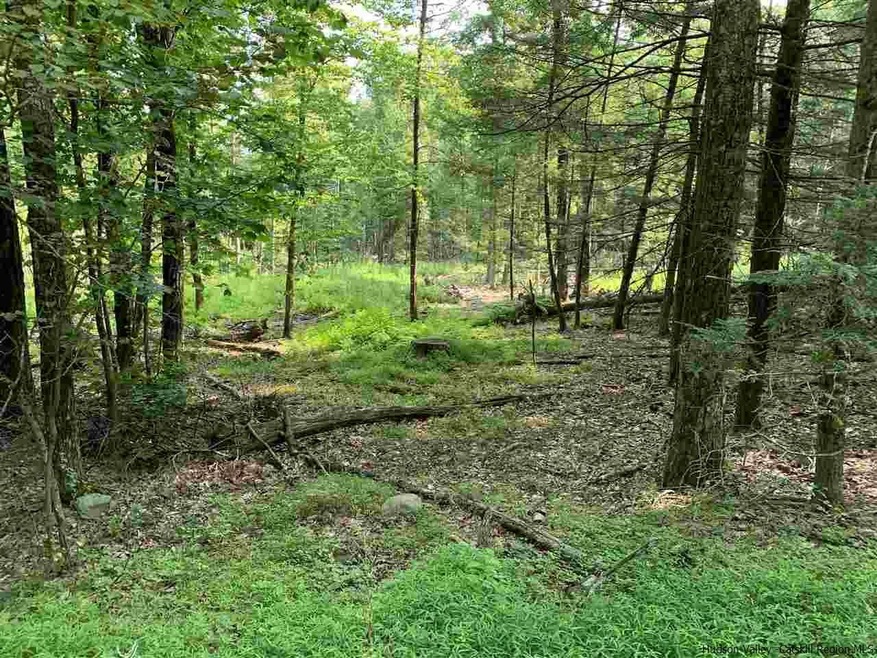 Lot 3 TBD Cherry Hill Rd, Stone Ridge, NY 12484 - photo 1