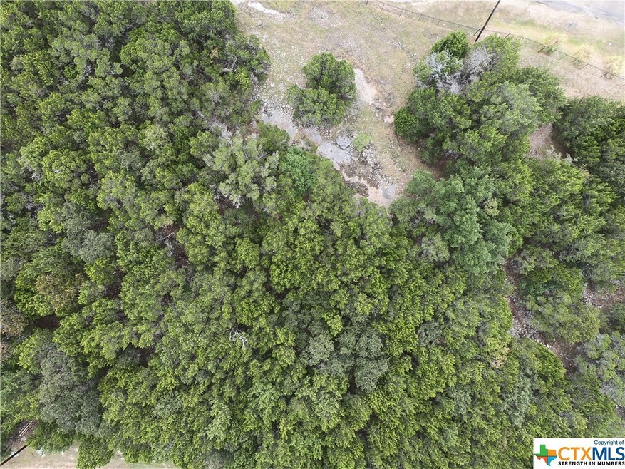 15795 Salado Ct, Temple, TX 76502 - photo 1