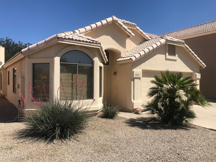 3772 Park Front Pic