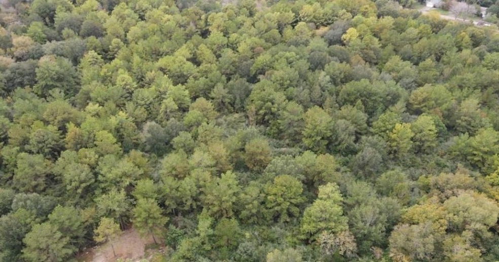 0 Lincoln St, Houston, TX 77088 - photo 1