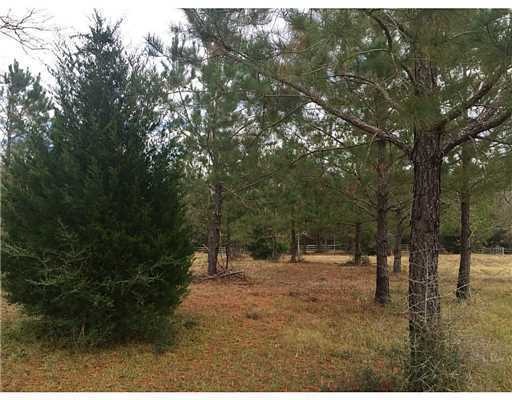 11031 Possum Fork Rd, Kiln, MS 39556 - photo 1