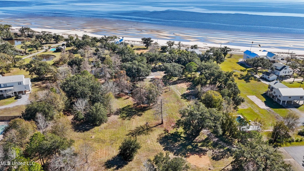Hoffman Drone 2