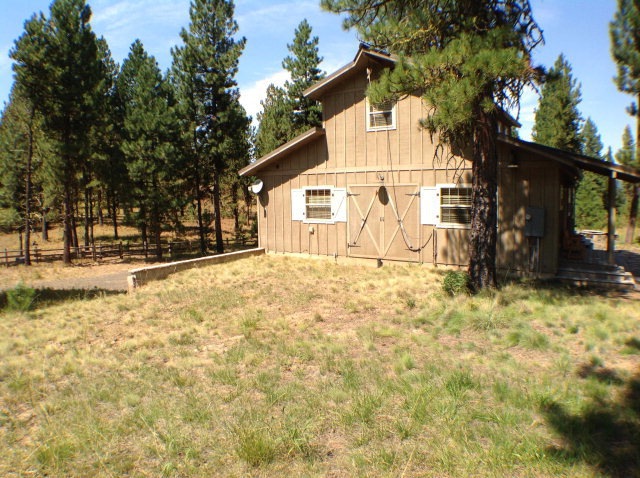 Main View