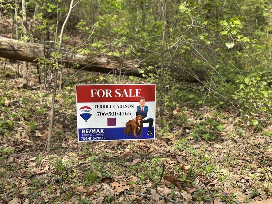 LOT 20 Big Ben Rd, Ellijay, GA 30540 - photo 1